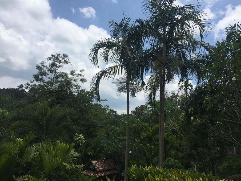 Aonang Cliff Mountain New Resort Ao Nang Exteriör bild