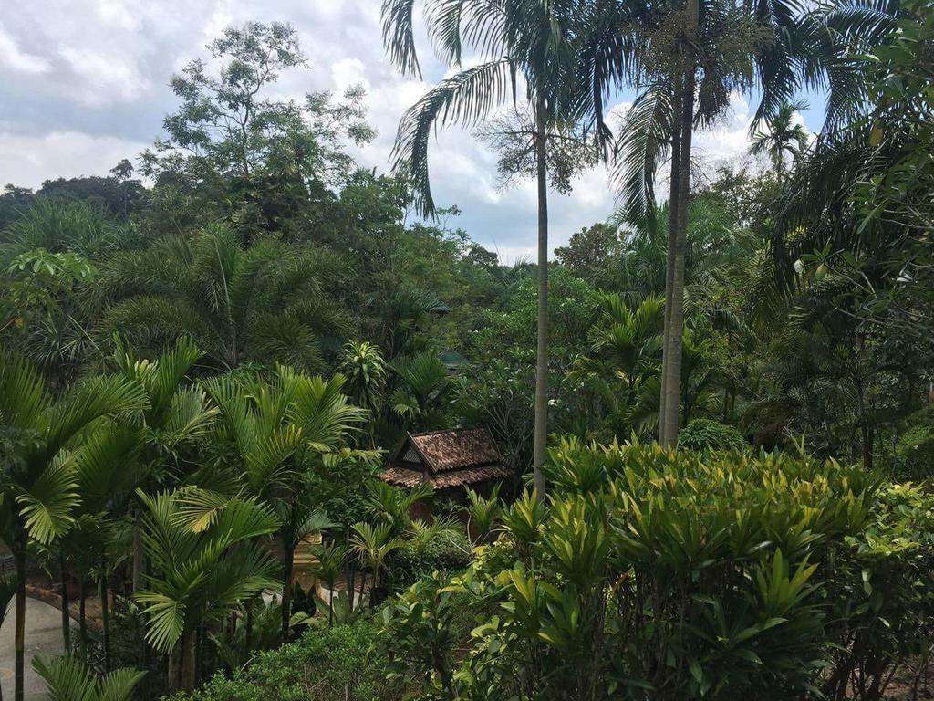 Aonang Cliff Mountain New Resort Ao Nang Exteriör bild
