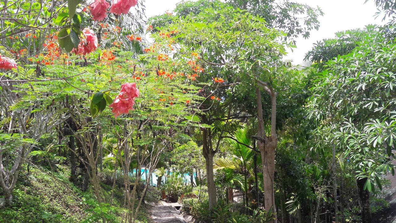 Aonang Cliff Mountain New Resort Ao Nang Exteriör bild